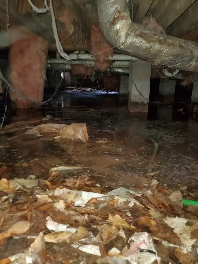 Crawl space flood assessment for Leak Detection & Repair in Troutdale